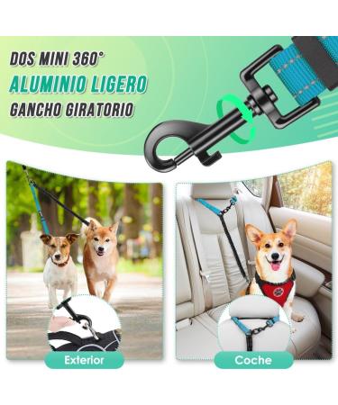 Buy NASJAC Double Dog Leash - No Tangle 360 Rotatable Adjustable Bungee Reflective Leash for Small Medium & Large Dogs - 2-Color Black & Aquamarine - Buy Online on SooperMarket.com