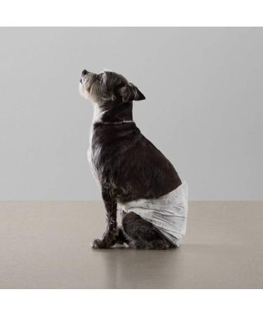 Amazon Basics Disposable Dog Diapers for Male Dogs - Small (30-Pack) | Premium Absorbency & Comfort - Buy Online on SooperMarket.com