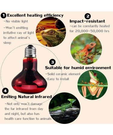 POFET 2pcs Reptile Heating Bulbs Durable Infrared Heat Lamp Warming Light Bulb Red Pet Light for Reptile and Amphibian Lizard Tortoise Spider Snake Chameleon 220-240V(100W) - Buy Online on SooperMarket.com