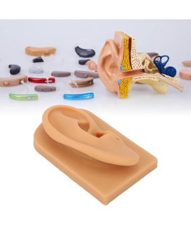 Ear Model Prevent Damage Waterproof Soft Silicone Right Ear Model Flexible Science Education for Display - Buy Online on SooperMarket.com