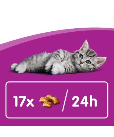 Whiskas Milk Kitten Treats - Delicious Snacks for Healthy Growth | 6 Pack x 66g Chicken | Ideal for 2-12 Months Old Cats - Buy Online on SooperMarket.com