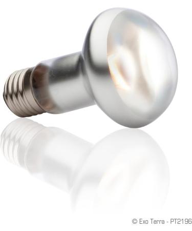 Exo Terra Intense Basking Spot Heat Lamp R20 25W E27 Socket - Pack of 2 | International Shipping Available - Buy Online on SooperMarket.com