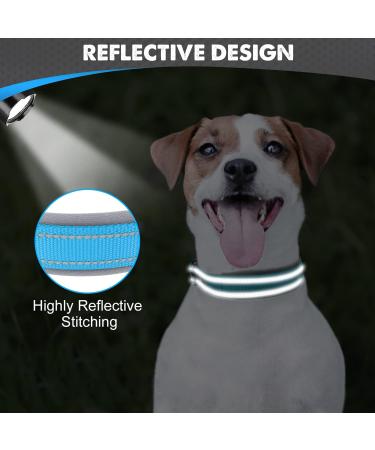 Joytale Baby Blue Dog Collar - Softly Padded Neoprene Nylon Reflective Collar for Small Dogs | 1 Pack - Buy Online on SooperMarket.com