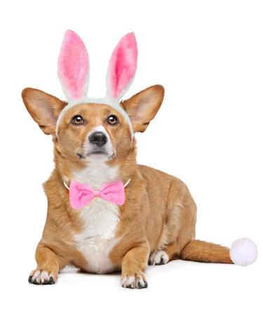 Dog Bunny Costume Set,Pet Rabbit Ears Headband Tail and Cat Bowtie Collar