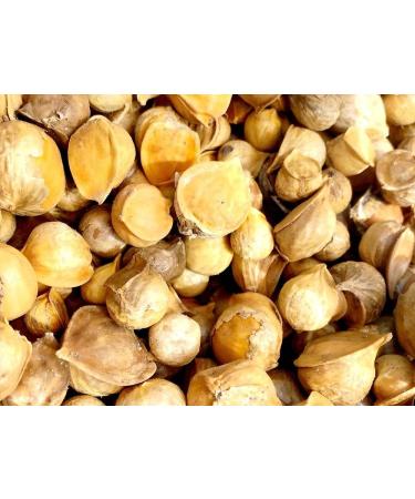 Yerbero Japanese Garlic Ajo Japones 3.5oz - 80 Cloves, Resealable Bag - 100g (Pack of 1) - Buy Online on SooperMarket.com