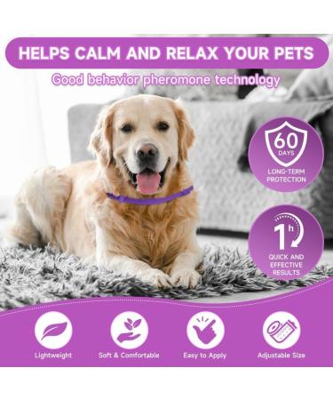 Woyamay Calming Collar for Dogs Adjustable Calming Dog Collar Helps Dogs Anxiety Relief Natural Calming Pheromone Dog Collar Lasts 60 Days Fits All Small Medium Large Dog 2 Pack Purple Purple-2 Pack - Buy Online on SooperMarket.com