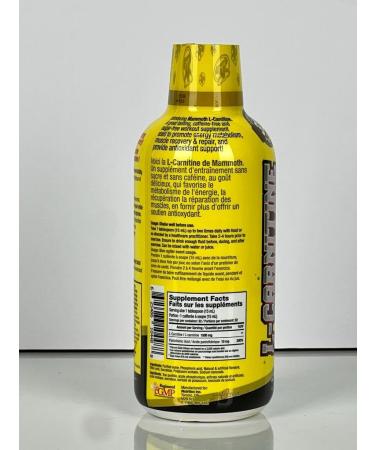 Mammoth L-Carnitine 1500 Vegetarian Caffeine Free Gluten Free (Blue Razz Slushie) - Buy Online on SooperMarket.com