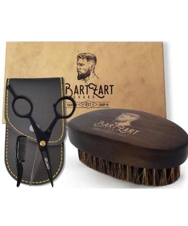 Bartzart Bartscher Klein for men with comb and black etui |Beard brush made of wild boar bristles |Bart care & gift for men (beard shears and beard brush)