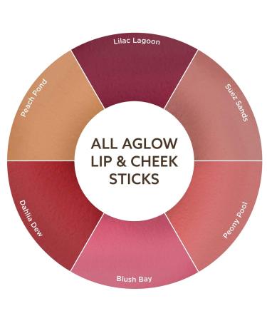 Burt's Bees Peach Pond All Aglow Lip & Cheek Stick 0.32 OZ - Natural Peachy Glow for Lips and Cheeks - Buy Online on SooperMarket.com