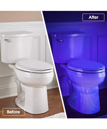 Fulighture UV Torch 2 Pack Pets Black Light 3 Modes Lights 395nm Dogs/Cats Urine Detector Ultraviolet Flashlight Find Dry Stains on Carpets/Rugs/Floor Operated by AA Batteries (Not Included) - Buy Online on SooperMarket.com