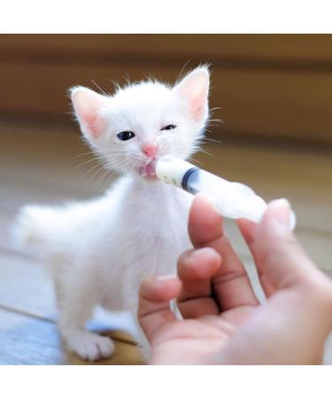 Buy Baby Bird Feeding Syringe - 1 Piece Dispenser with 20 Sterile Hoses for Small Animals Kittens & Puppies - Ideal for Scientific & Industrial Labs - Buy Online on SooperMarket.com