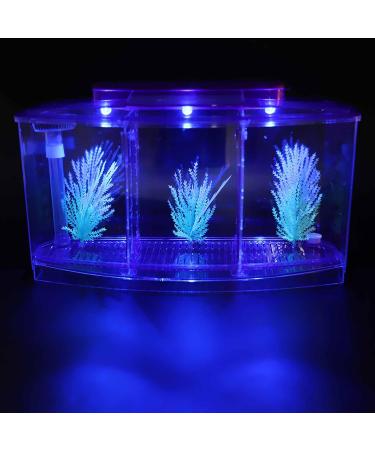 Aquarium Fish Tank Transparent Aquarium Fish Tank LED Acrylic Three Divisions Breeding Isolation Box for Small Fishes Mini Breeding Fish Tank (Purple) - Buy Online on SooperMarket.com