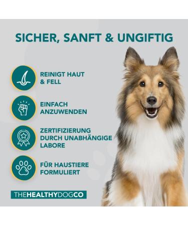Healthy Dog Co 6-in-1 Natural Dog Shampoo & Conditioner - Odor Control Gentle & Moisturizing for Long Hair - 500ml Puppy Shampoo - Buy Online on SooperMarket.com