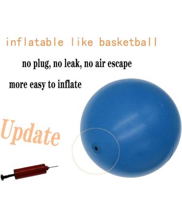8 Inch Mini Yoga Pilates Ball with Pump - Blue | Core Stability Exercise Ball for Barre Workout and Physical Therapy - Buy Online on SooperMarket.com