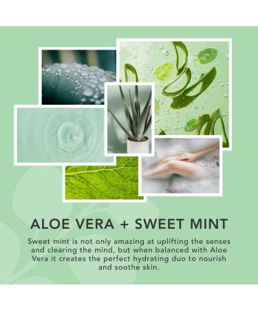 Sunday Rain Aloe Vera & Mint Bubble Bath - Rich & Foaming | Vegan & Cruelty-Free | 450ml - Buy Online on SooperMarket.com