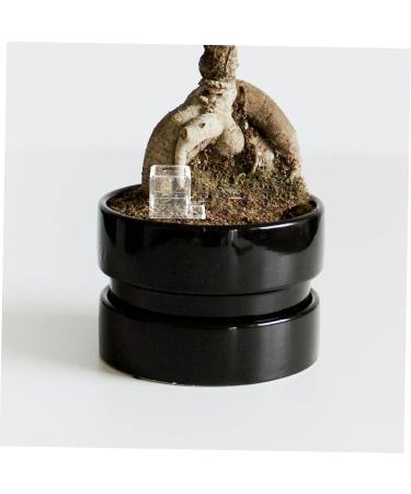 BESPORTBLE 4pcs Pet Water Feeder Ants Water Bowl Ants Water Feeding Bowl Mini Liquid Feeder Ants Feeder Plastic - Buy Online on SooperMarket.com