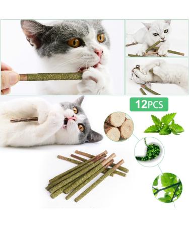 OSDUE 12PCS Cat Catnip Sticks Catnip Toys for Cats Teething Toys Cat Chew Toy Teeth Clean Chewing Grindin for Cat Kitten Kitty Natural Wood Sticks for Cats Play and Relax A-12 PCS Cat Catnip Sticks - Buy Online on SooperMarket.com