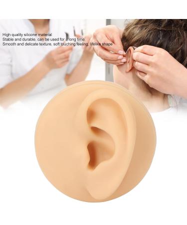 Human Ear Model Left Ear Soft Lifelike Fake Ear Model for Teaching Demonstration - Buy Online on SooperMarket.com