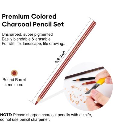 Dyvicl Charcoal Pencils Drawing Set - 12 Pieces for Drawing, Sketching, Shading, Blending - Ideal for Beginners and Artists - Buy Online on SooperMarket.com