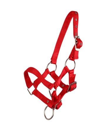 QHP foal halter foal nylon halter 4 foal sizes 6 colours (pony foal red) pony foal red