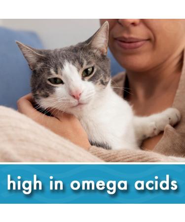 Pike's Pouches Organic Hemp Seed Oil for Dogs & Cats UK 400ml More Omega 3 6 9 than Salmon Oil Cod Liver Oil & Fish Oil | Joint Supplement Ideal for Senior Pets | 100% Pure Cold Pressed & Vegan Organic Hemp 400 ml (Pack of 1) - Buy Online on SooperMarket.com