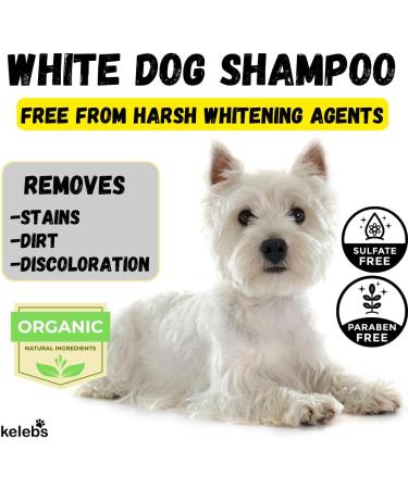 Kelebs Sensitive Dog Shampoo | Vegan Lavender & Oatmeal Soap | Natural Care for Puppies & Dogs | 3 Pack Charcoal - Buy Online on SooperMarket.com