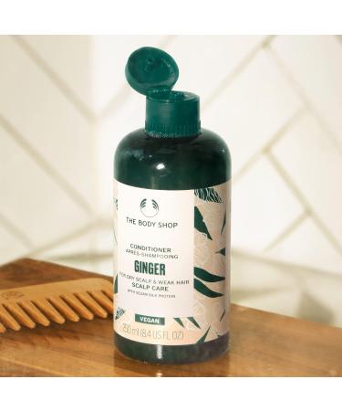 The Body Shop Ginger Scalp Care Conditioner 250ml | Vegan Solution for Dry Scalp & Weak Hair - Buy Online on SooperMarket.com