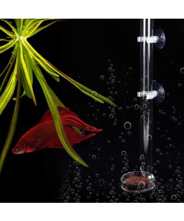 Fish Shrimp Feeder Tube and Plate Acrylic Clear Shrimp Feeding Tube Aquarium Fish Tank Feeder for Crystal Shrimp Tropical Fish(20cm) - Buy Online on SooperMarket.com