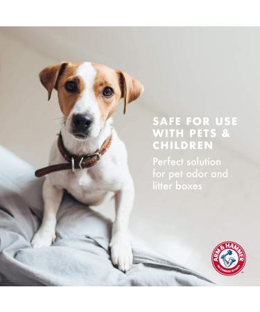 Arm & Hammer Pet Odor Eliminator Room Spray | 10 oz Eucalyptus Mint Fragrance | Baking Soda Pet Deodorizer | Eucalyptus Mint Reed Diffuser - Buy Online on SooperMarket.com