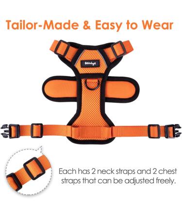 Breakproof Cat Leash Set & Adjustable Soft Kitten Vest - Reflective Stripes | Orange Small Dishes for Kittens - Buy Online on SooperMarket.com