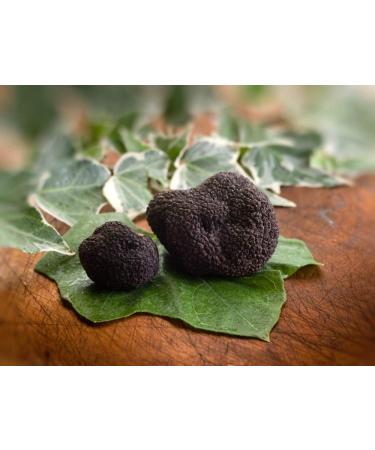 Black Summer Truffle Tuber aestivum Gourmet Sauce 170g - Ideal for Meat, Grilled Bread, Omelets, Pasta, Risotto, Sushi - Buy Online on SooperMarket.com