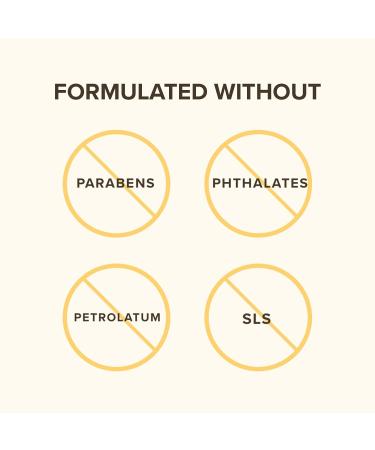 Burt's Bees Lip Balm & Lip Treatment Set - Overnight Intensive Care & Conditioning Scrub - 0.50 oz (Pack of 1) - Buy Online on SooperMarket.com