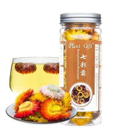 Plant poison bractaTha bracteata flower bracteantha bractata flower colorful chrysantheme tea liver seeing skin care beauty anti-fatigue lose weight 30g / 1.05z slimming 30g-bractaTha bracteata flower