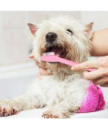 ORFOFE 36 Pcs Double Head Dog Toothbrush Pet Cleaning Toothbrush Dog Toothbrush Toothpaste Pet Stuff Pp - Buy Online on SooperMarket.com