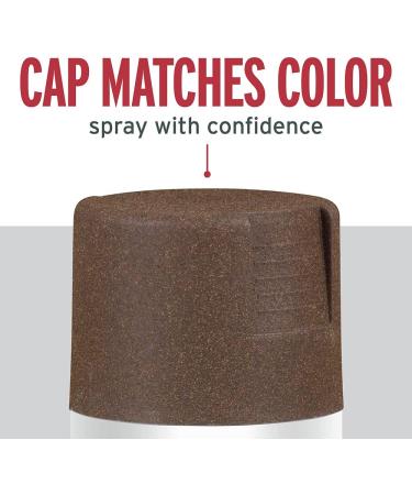 Rust-Oleum 223523 Stops Rust Multi-Color Textured Spray Paint 12oz - Autumn Brown | Pack of 1 - Buy Online on SooperMarket.com