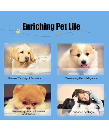 Buy Smandy Dog Door Bells - Effective Training Potty Bells for Pets | Blue Dog Communication & Cleanliness Training - Buy Online on SooperMarket.com