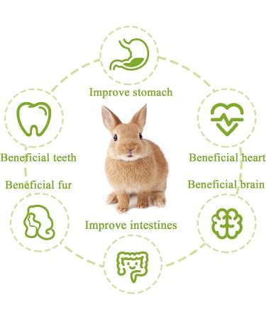 Premium Timothy Hay Sticks: Natural & Nutritious Treats for Small Pets - Buy Online on SooperMarket.com