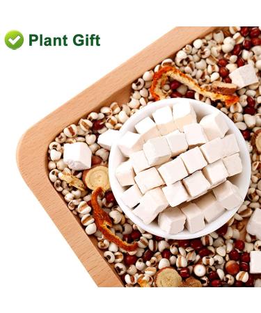 Buy 100% Natural Poria Cocos 200g - Premium Fu Ling Medicinal Herb from China - Dried Bulk for Health Benefits - Buy Online on SooperMarket.com