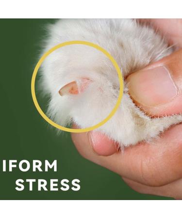 Keeplus Effortless Pet Nail Clipper - Best Dog & Cat Claw Care Scissors Nail Cutter & File - Buy Online on SooperMarket.com