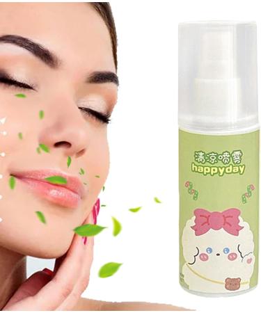 ADERN Cool Spray - 80ml Soothing Summer Spray - Refreshing Protective Skin-friendly Spray Instantly Reduce Temperature Small And Lightweight Spray For Face And Body - Buy Online on SooperMarket.com