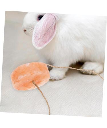 Kisangel Pet Salt Block Hamster Supply Salt Brick for Rabbit Nutrition Hamster Animals Salt Rabbit Salt Brick Salt Blocks Rabbit Licking Salt Safety Rabbit Salt Creative Rabbit Salt - Buy Online on SooperMarket.com