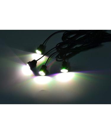 NBWDY 4Pcs RGB Marine Boat LED Lights - Waterproof NPT Drain Plug Light for Boat, Pontoon, Kayak, Yacht - APP & IR Remote Control - IP68 Waterproof - Buy Online on SooperMarket.com