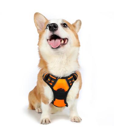 rabbitgoo dog harness medium -sized dogs anti train cuddles dog with control no pull adjustable dog harness large dogs breathable reflex stripes breast harness dog safe guided tour orange m (1 Pack) orange