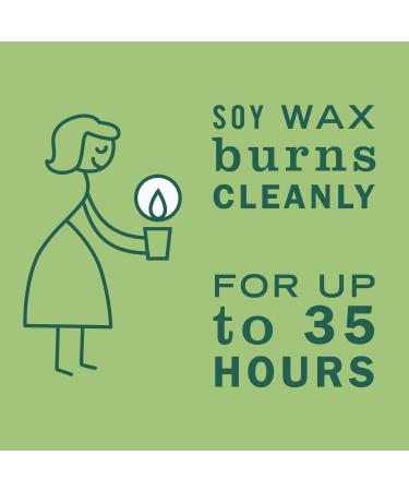 Mrs. Meyer's Clean Day Iowa Pine Liquid Hand & Dish Soap Set - Eco-Friendly 12.5 OZ & 16 OZ - International Shipping Available - Buy Online on SooperMarket.com