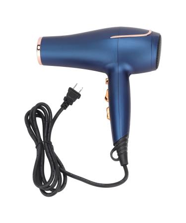 800W High Power Blow Dryer Negative Ion Hair Care Hair Dryer for Barber Shops Household Multifunctional Settings Professional Design Hairdryer (White) US Plug 110V 1100W plus 1100W White