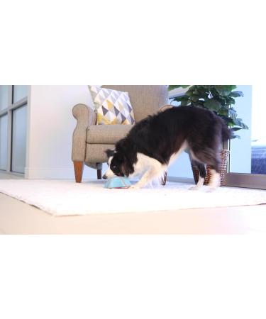 Chuckit! Indoor Super Slider Dog Fetch Toy with Squeaker for Interactive Play - Buy Online on SooperMarket.com