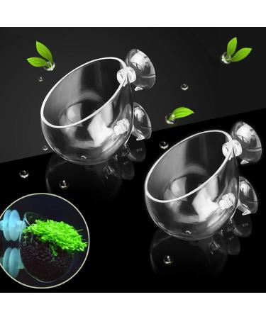 capetsma Crystal Glass Aquatic Plant Pot, Aquarium Aquatic Planter, Red Shrimp Live Plants Fish Tank Glass Holder with Suction Cups for Aquarium Aquascape Decoration 2 pack