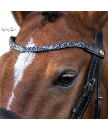CALEVO - curved browband Twinkle black-golden night Warmblood-full
