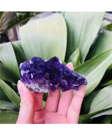 Home Decor Natural Dream Amethyst Quartz Crystal Cluster Specimen Gifts Natural Crystal Room Decoration FUZEGRDLI (Color : 90-100g Size : 1pc) 1pc 90-100g - Buy Online on SooperMarket.com