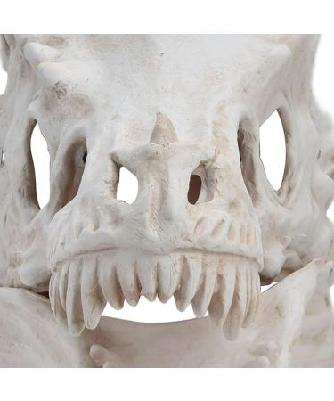Scary Halloween Mask Latex Simulation Dinosaur Skull Mask Head Cover Halloween Skull Mask Scary Latex Full Head Realistic Masks for Halloween Costume Party Cosplay - Buy Online on SooperMarket.com